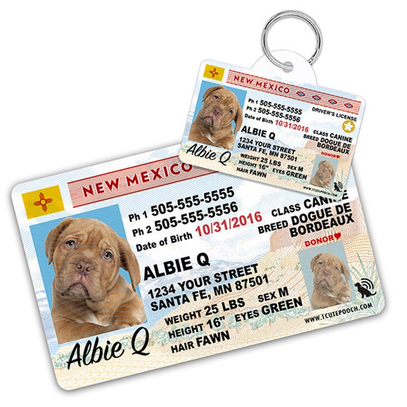 dog id tags license dog id tags license