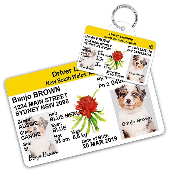 driver's license pet id tags