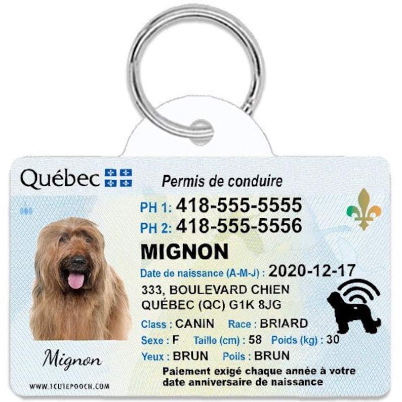 Quebec Driver License Custom Pet ID Tags Personalized Dog Etsy