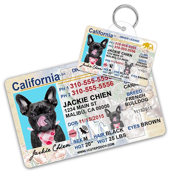 California Driver License Custom Pet ID 