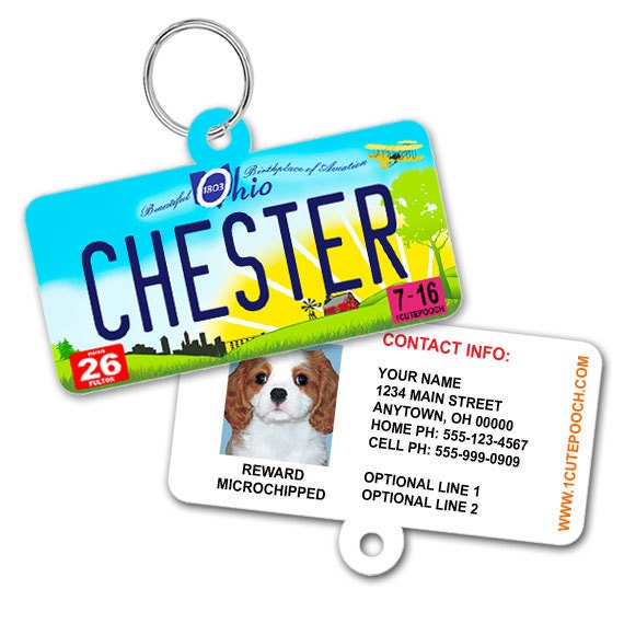 Do Dogs Need A License In Ohio