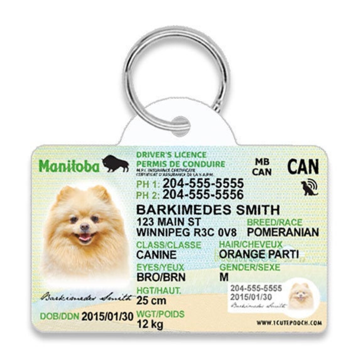 Manitoba Driver License Custom Pet ID Tags Personalized Dog Etsy