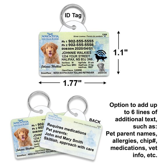 Doggie driver's license hot sale
