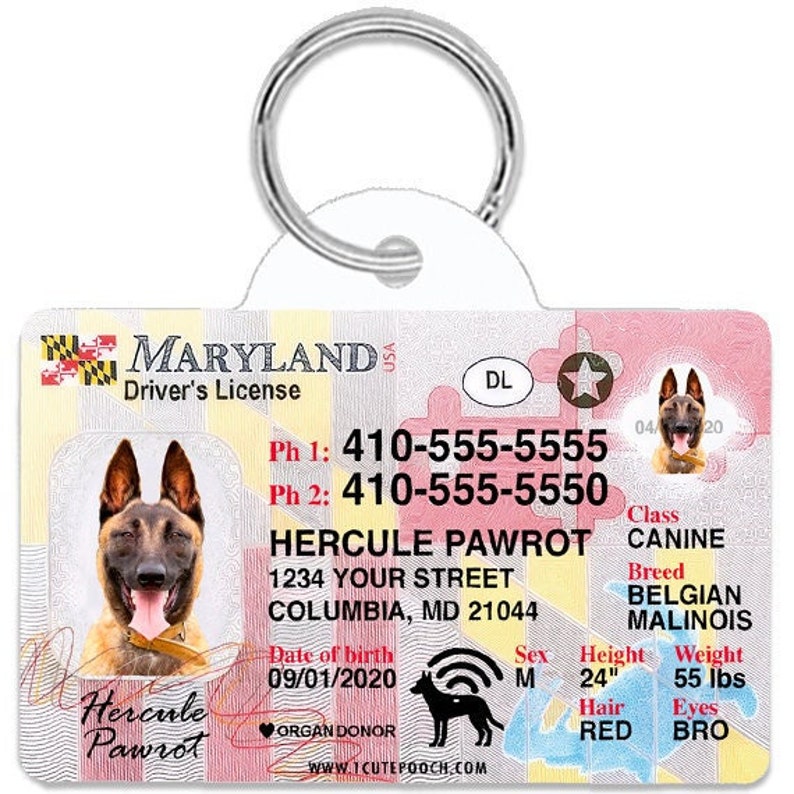 Maryland Driver License Custom Pet ID Tags Personalized Dog Etsy