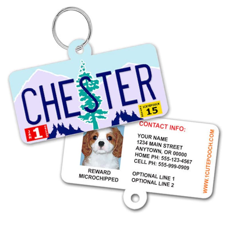 Oregon License Plate Custom Pet ID Tag Dog ID Tag Etsy