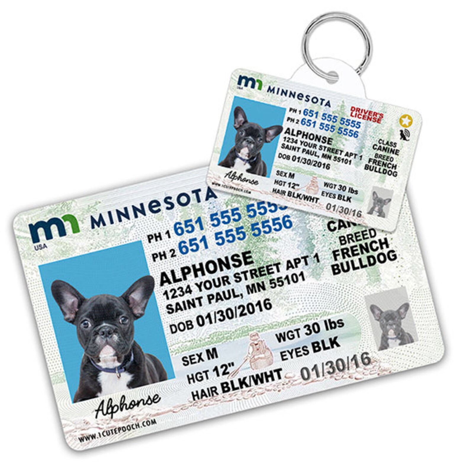 Pet id. Pet id. Iguverse pet id. Michigan driver license. Dog license картина мальчик покупает лицензию.