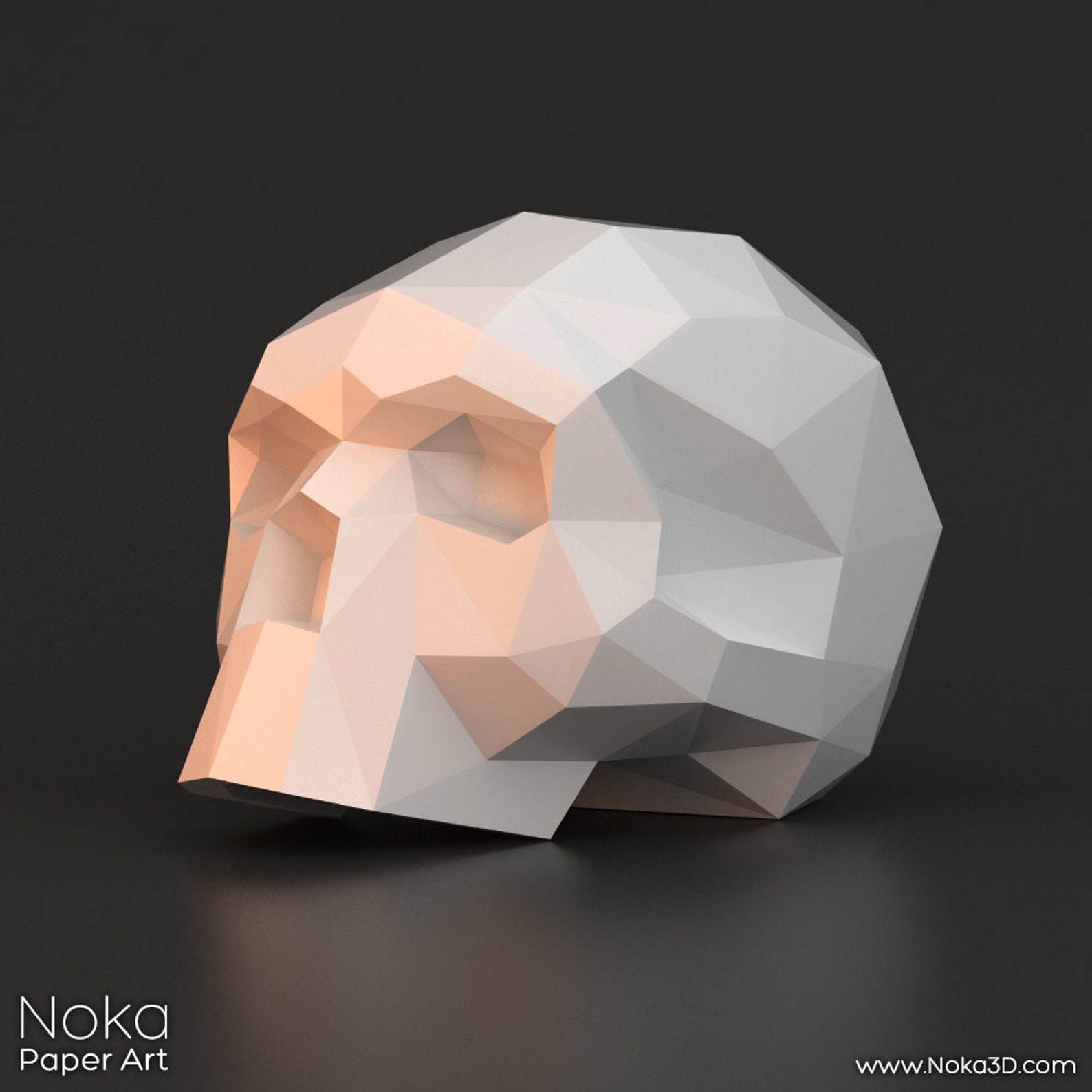 Human Skull - 3D Papercraft Model. Downloadable DIY Template - Etsy UK