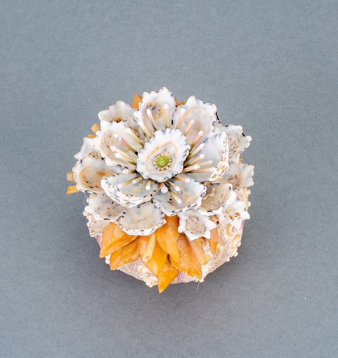 Seashell Flower 