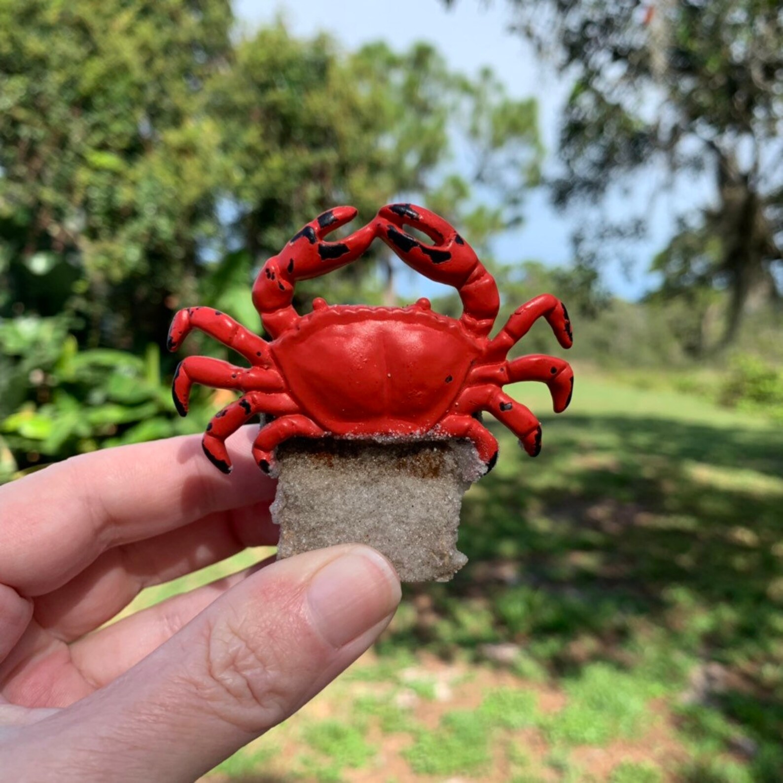 CRAB GIFT Solar Light Etched Glass Hanging Jar Lantern Etsy