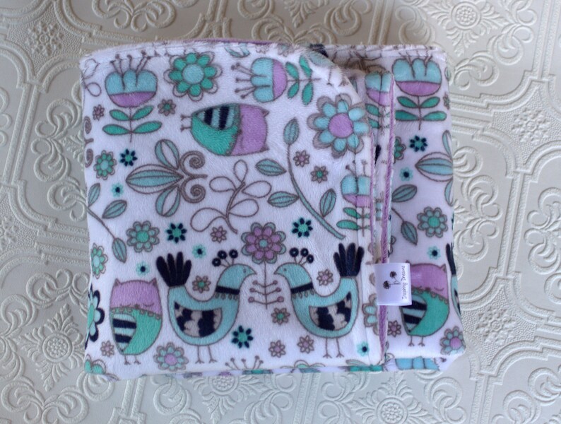 Baby Blanket Baby Girl Blanket Newborn Baby Girl Gift Owls Birds Flowers Monogrammed Blanket Personalized Minky Baby Blanket