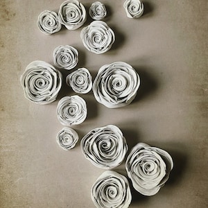 May include: A collection of 13 white paper roses of varying sizes arranged in a decorative pattern on a light brown background.