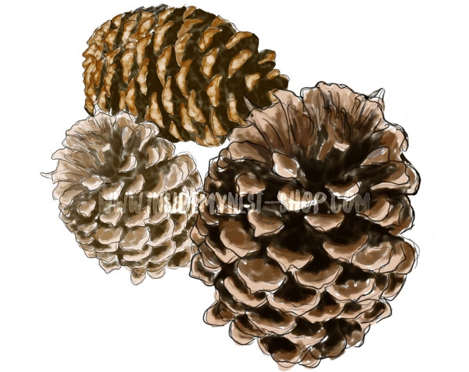 DIGITAL Watercolour Pine Cones Printable Instant Download PNG 300DPI