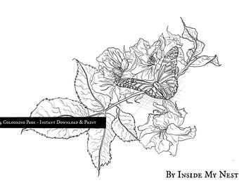 Butterfly On Flower Branch Printable Detailed Single Colouring Page Instant Download