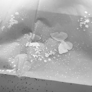 Butterfly Dust Silver Foil on White Tissue Gift Wrap Wrapping Colourfast Recylable 30x20&quot; / 750x500mm