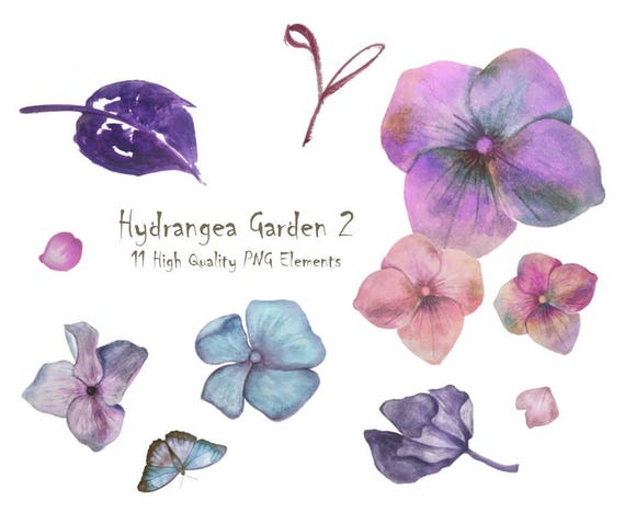 Digital Arte Hydrangea acuarela flores PNG pintado a mano - Etsy España Digital Arte Hydrangea acuarela flores PNG pintado a mano - Etsy España