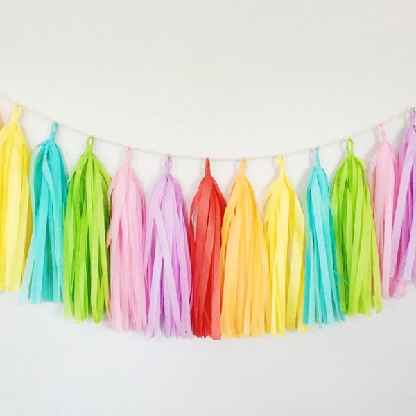 Rainbow Tassel Garland - Rainbow Tissue Tassels, Pastel Rainbow Banner, Rainbow Party Decor, Tie Dye Party Banner, Tie Dye Birthday Banner