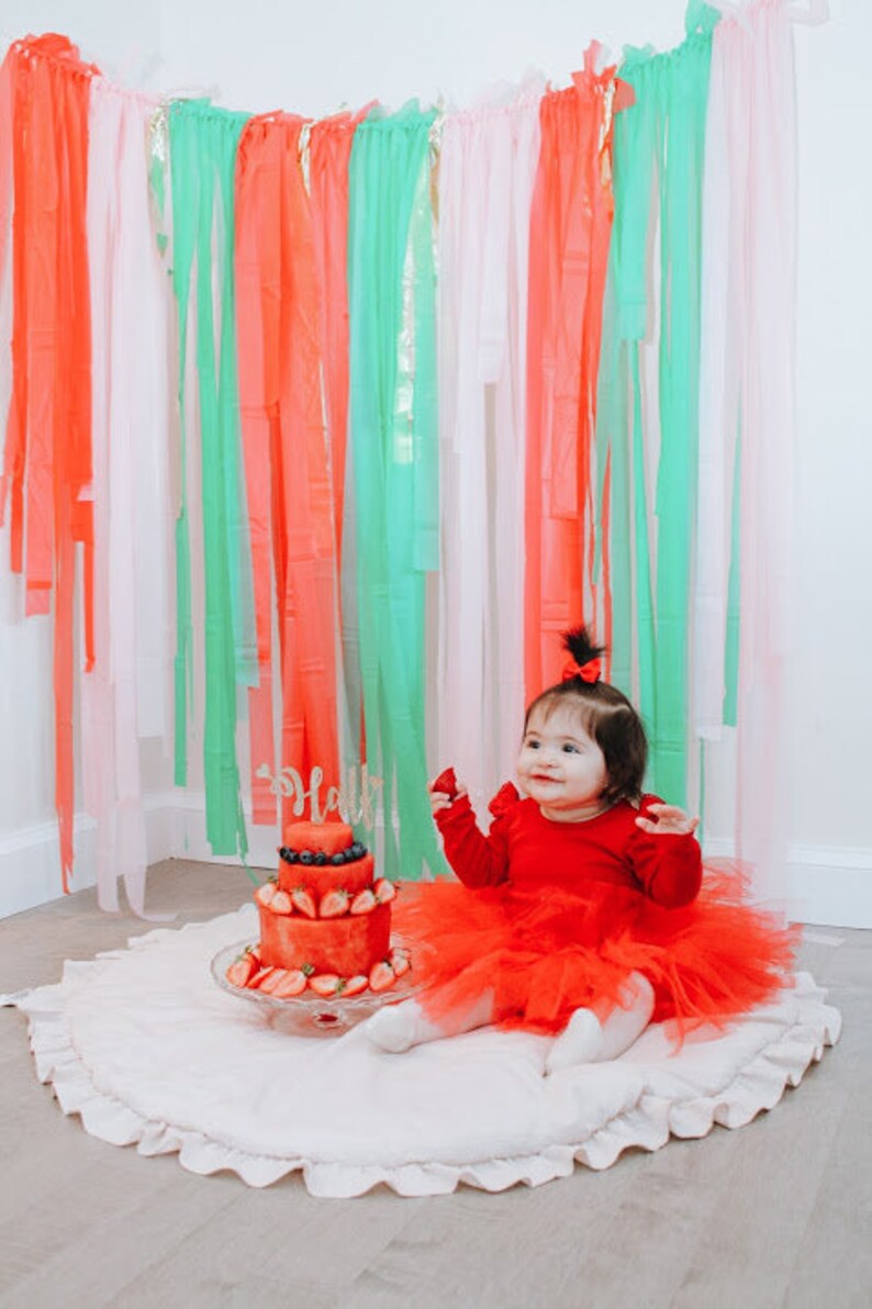 Gender Reveal Streamer Fringe Backdrop Custom Pastel Party Etsy