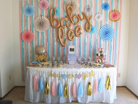 Pink and Blue Tassel Garland - Gender Reveal Ideas, Gender Reveal Decor, Pink and Blue Gender Reveal, Tassel Garland Baby Shower, Baby Decor Il_570xn