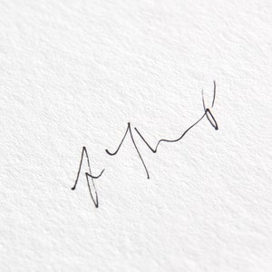 May include: A handwritten signature in black ink on a white background.