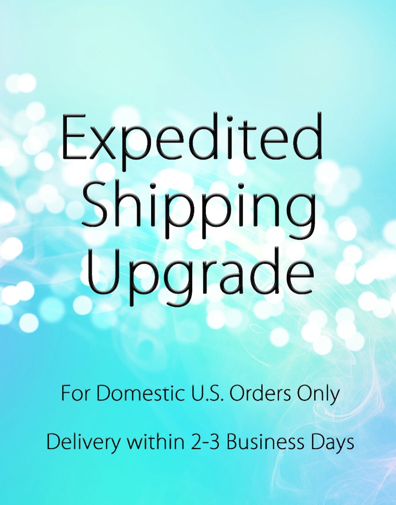 Add Domestic Priority Expedited Shipping Upgrade Rush Delivery For U.S. Orders Only image 1