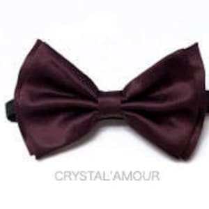 Eggplant Bow tie, Men&#39;s Bow tie, Adult Bow tie, Men&#39;s bowties, Eggplant bow ties, eggplant bow tie, wedding bow ties, prom bow ties