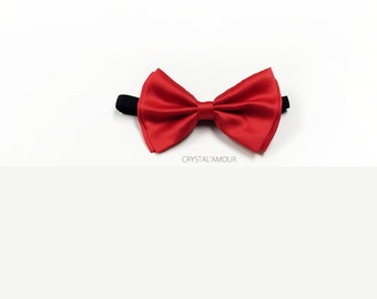May include: A red bow tie with a black elastic band.