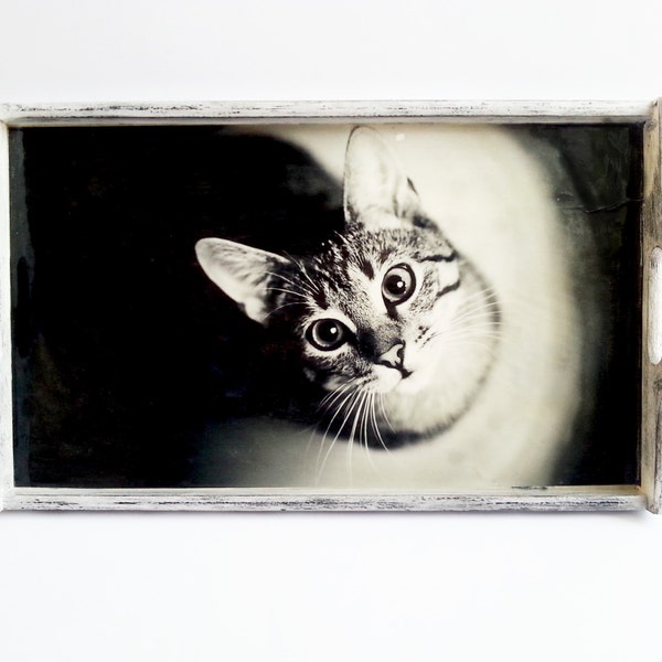 Black and white wooden tray with cat photo shabby chic  hand painted gift idea for cats lovers