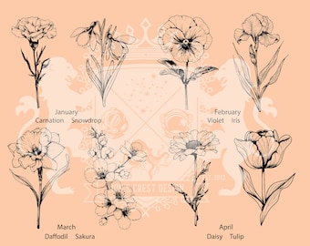 Set of 24 Birth Month Flower Illustrations | Flower Line Art | SVG PNG Clipart | Commercial Use | Digital Download | High Quality Asset