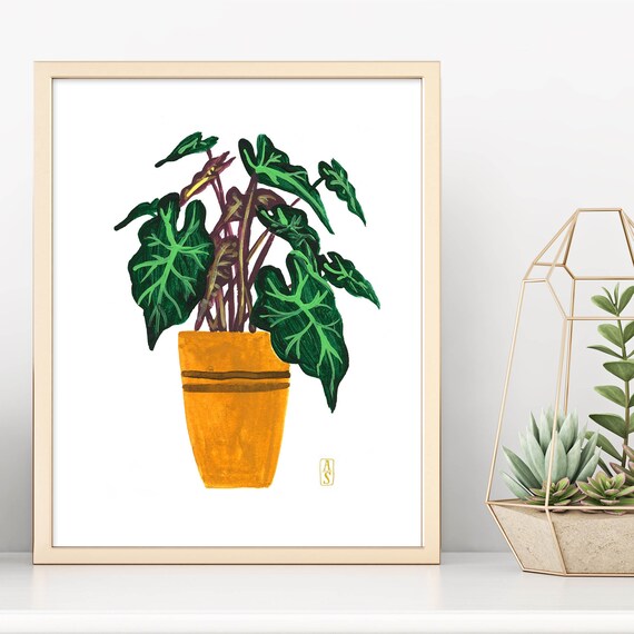 Alocasia Print. Alocasia Plant Art. Houseplant Print. Plant | Etsy