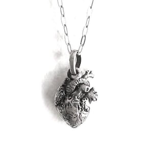 Colgante de corazón anatómico, latido sólido, collar de corazón, corazón de plata, collar de plata, corazón realista, vieja escuela,
