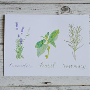 Herbs Card Trio of Herbs Card Kitchen Herbs Greeting Card Rosemary, Basil, & Lavender Card image 2