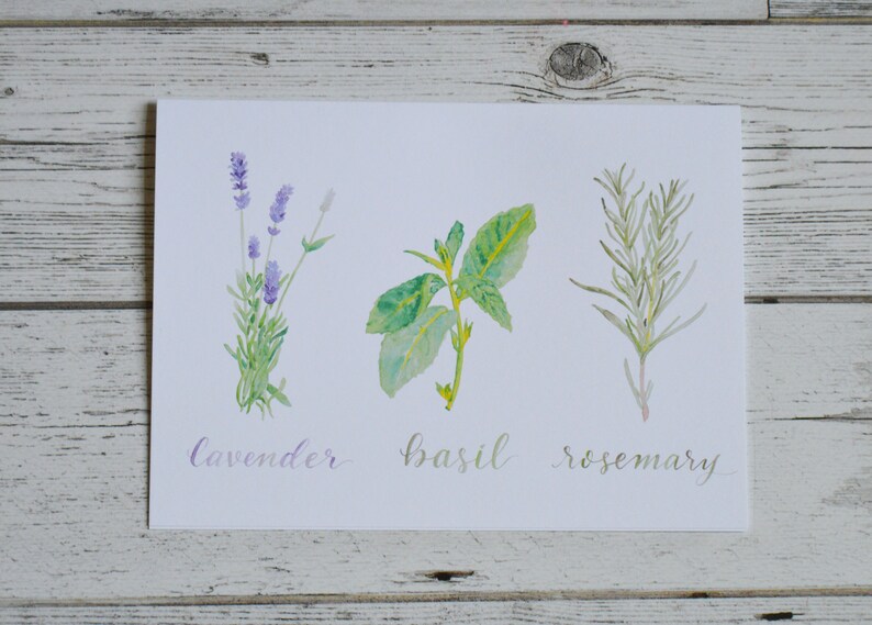 Herbs Card Trio of Herbs Card Kitchen Herbs Greeting Card Rosemary, Basil, & Lavender Card image 2