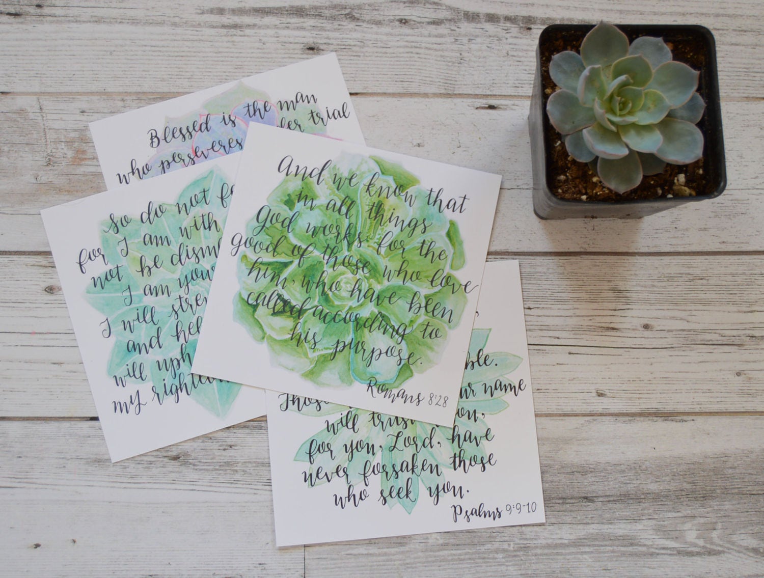 Succulent Scripture Cards - Watercolor Scripture Cards - Handmade ...