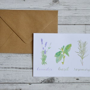 Herbs Card Trio of Herbs Card Kitchen Herbs Greeting Card Rosemary, Basil, & Lavender Card image 1