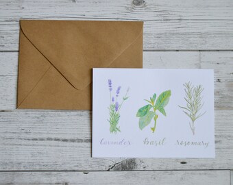 Herbs Card - Trio of Herbs Card - Kitchen Herbs Greeting Card - Rosemary, Basil, & Lavender Card