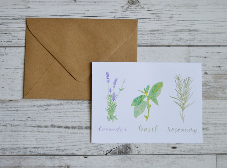 Herbs Card Trio of Herbs Card Kitchen Herbs Greeting Card Rosemary, Basil, & Lavender Card image 1