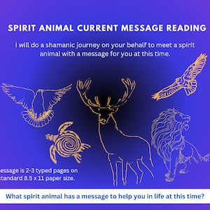 Spirit Animal Reading, Message from a Totem Animal to help a current situation. Animal Spirit, Animal Spirit Guide, Animal Totem