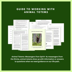 Guía de tótems animales, animales espirituales, animales de poder, compañeros espirituales, significado de los animales tótem