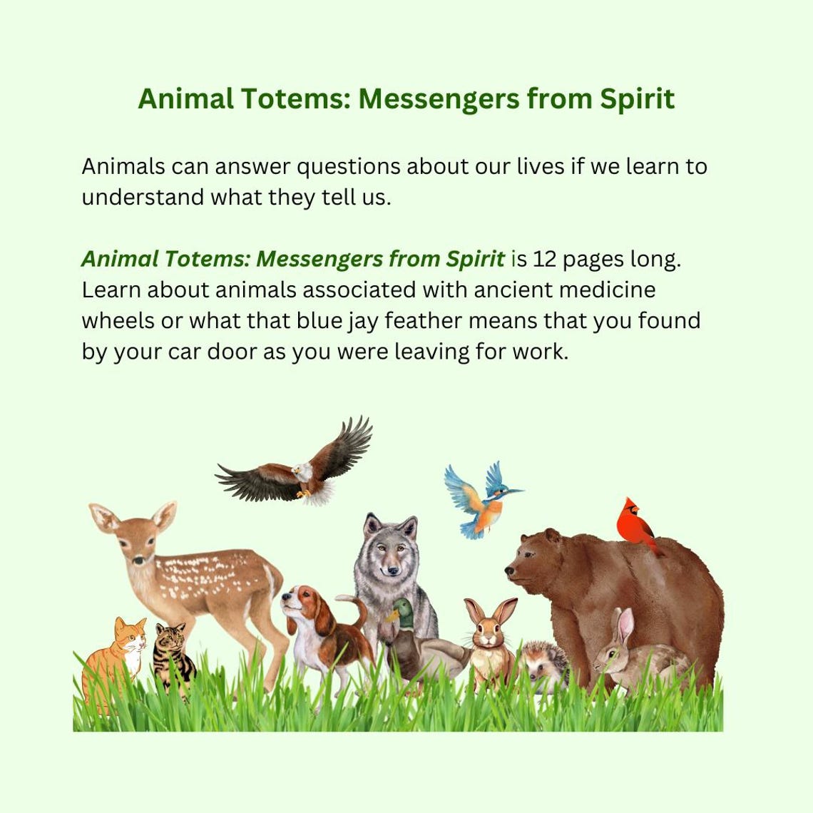 Guide to Working With Animal Totems-spirit Animal Meanings, Shamanism ...