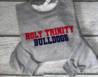 puff print school team sweatshirt, college sport puff print sweatshirt, school mascot crew neck sweatshirt, favorite team, trendy gifts,