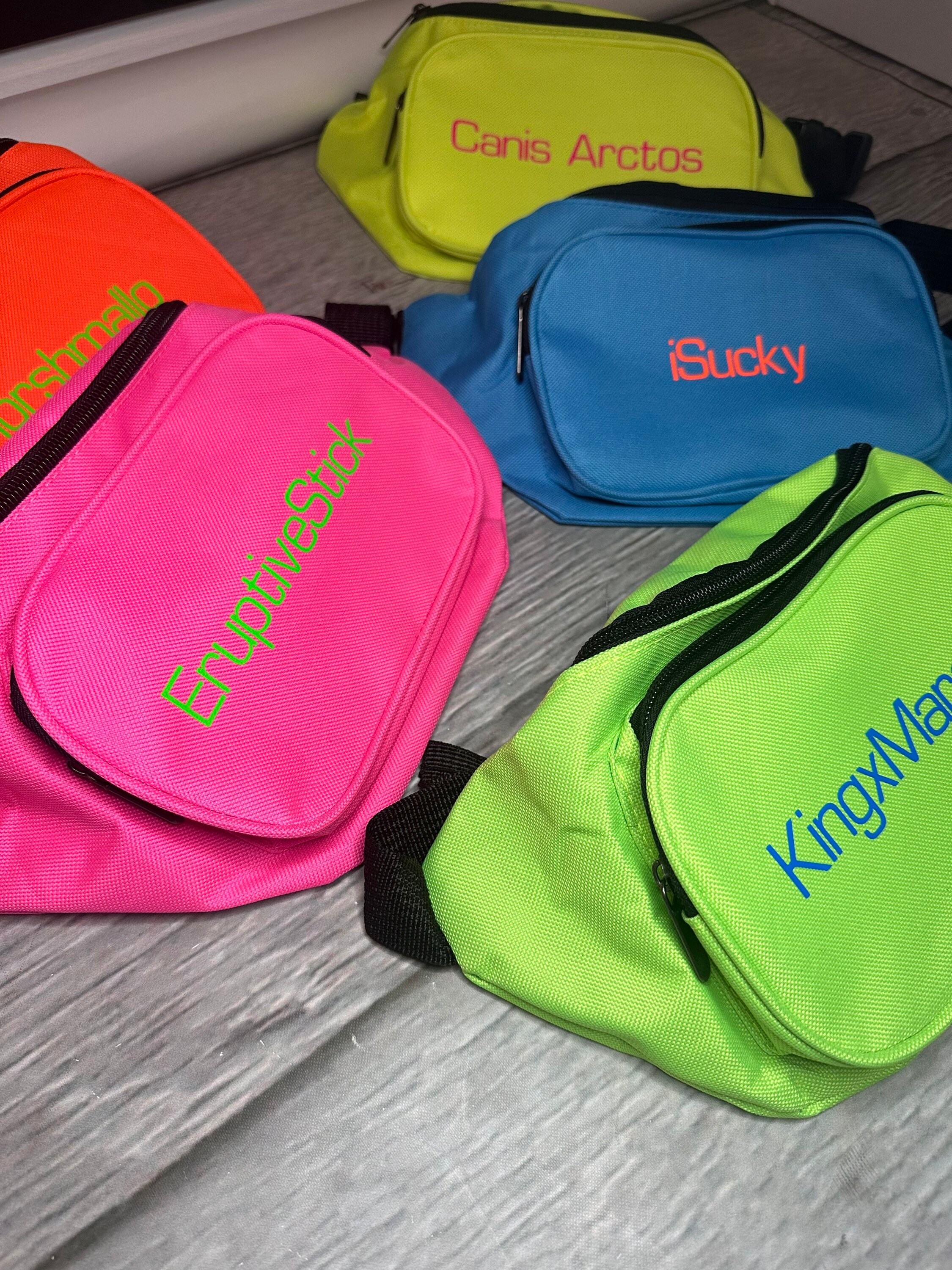 Dollarama fanny pack sales