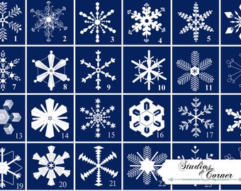 Snowflake Brushes Digital Brushes Snowflake Stamps Digital Stamps Winter Brushes Winter Stamps Winter Digital Stamp Winter Digital Brush