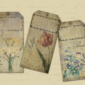 Pu&ograve; includere: Tre etichette regalo in stile vintage con illustrazioni floreali. Le etichette sono rettangolari e hanno una texture di carta usurata e invecchiata. L'etichetta superiore presenta un mazzo di narcisi bianchi con la parola "Narcissus" scritta in corsivo. L'etichetta centrale presenta un tulipano rosso con la parola "Tulipe" scritta in corsivo. L'etichetta inferiore presenta una viola del pensiero viola con la parola "Pans&eacute;e" scritta in corsivo.