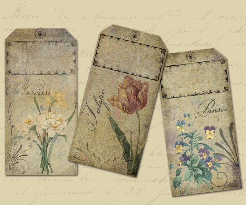 Pu&ograve; includere: Tre etichette regalo in stile vintage con illustrazioni floreali. Le etichette sono rettangolari e hanno una texture di carta usurata e invecchiata. L'etichetta superiore presenta un mazzo di narcisi bianchi con la parola "Narcissus" scritta in corsivo. L'etichetta centrale presenta un tulipano rosso con la parola "Tulipe" scritta in corsivo. L'etichetta inferiore presenta una viola del pensiero viola con la parola "Pans&eacute;e" scritta in corsivo.