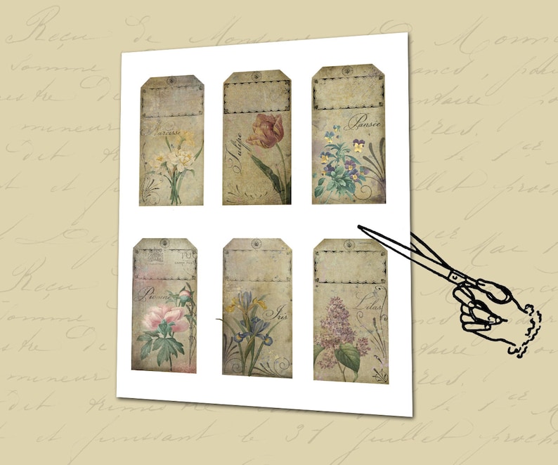 Pu&ograve; includere: Sei etichette regalo in stile vintage con illustrazioni floreali. Ogni etichetta presenta un fiore diverso, tra cui una viola del pensiero, un tulipano, un iris, un lill&agrave; e altri due fiori. Le etichette sono stampate su carta testurizzata con un aspetto invecchiato.