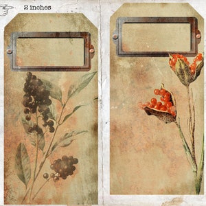 May include: Two vintage-style gift tags with a rustic brown background. The left tag features a black and white illustration of a berry branch with leaves. The right tag features a red and green illustration of a flower with a seed pod. The tags are 2 inches by 4 inches.
