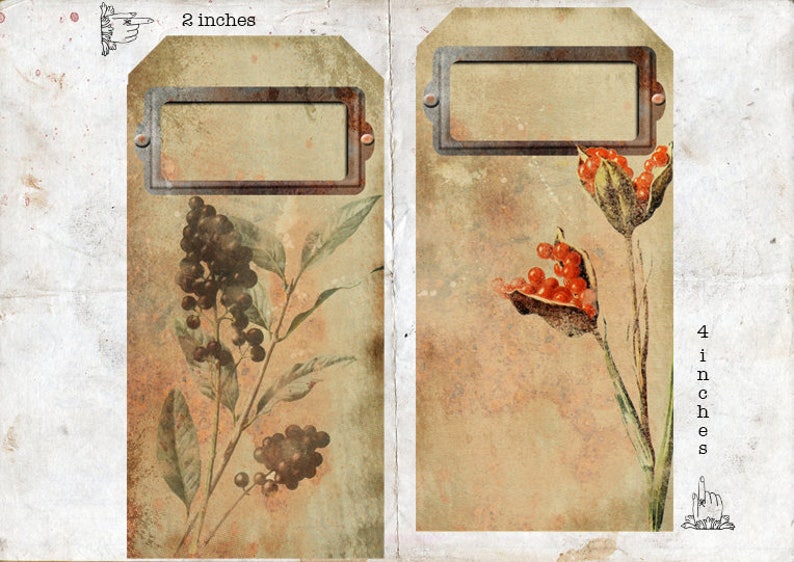 May include: Two vintage-style gift tags with a rustic brown background. The left tag features a black and white illustration of a berry branch with leaves. The right tag features a red and green illustration of a flower with a seed pod. The tags are 2 inches by 4 inches.