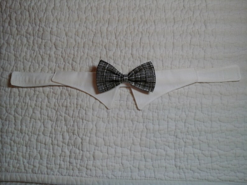 Fancy white cat collar with black and white bow tie Etsy