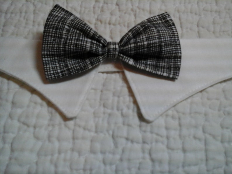 Fancy white cat collar with black and white bow tie Etsy