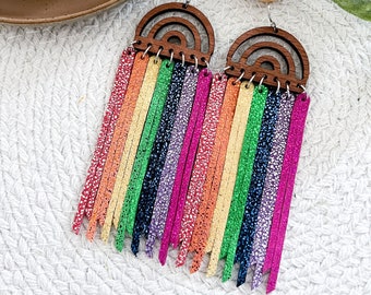 Rainbow Fringe Earrings